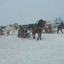 呼伦贝尔清风草原户外运动有限责任公司 专业户外运动产品供应商